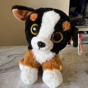 Ty Beanie Baby - ROSCOE the Bernese Mountain Dog (6 Inch) NEW MWMTs Stuffed Toy